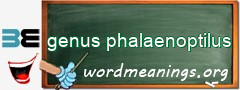 WordMeaning blackboard for genus phalaenoptilus